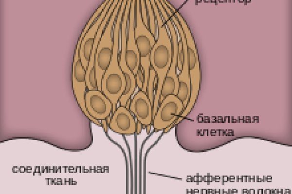 Kraken маркетплейс