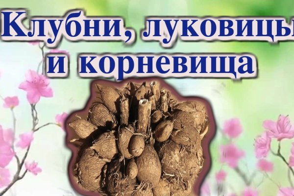 Кракен 16 вход
