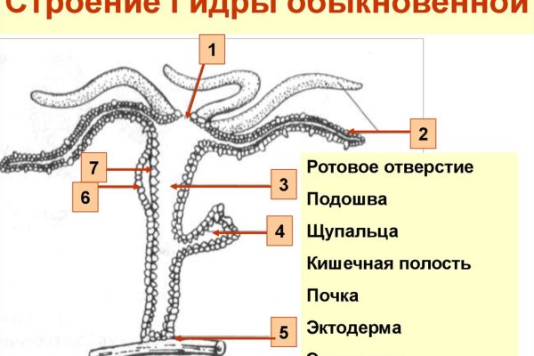 Кракен торговая