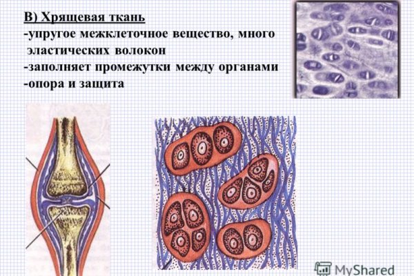 Кракен войти сегодня