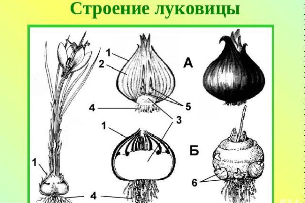 Кракен маркерлейс оф вход