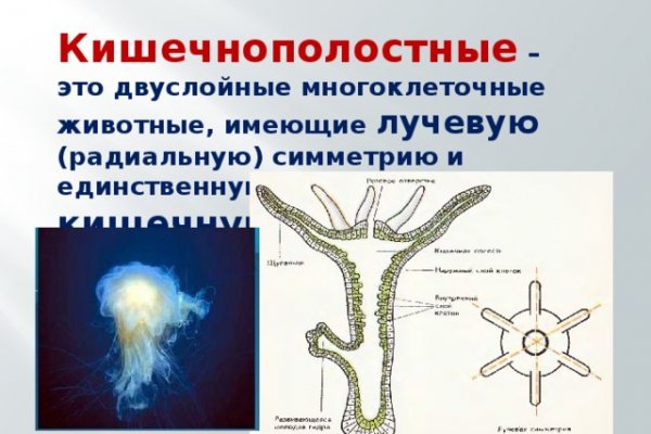 Kraken сайт krakens15 at