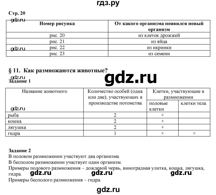 Зайти на кракен рабочее зеркало